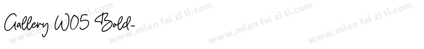Gallery W05 Bold字体转换